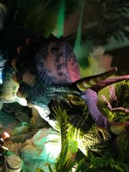 -恐龙探索乐园(磁器口店)