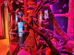 -沈阳海洋探索中心