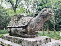 -灵谷景区