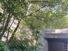 -C Cafe(朵云书院·戏剧店)
