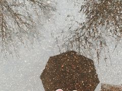 -芍药居北里