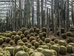 -南山植物园