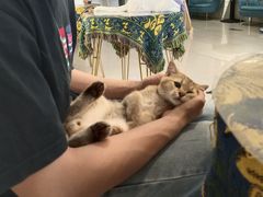 -平行世界·猫咖(首经贸店)