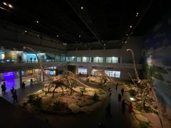 -自贡恐龙博物馆