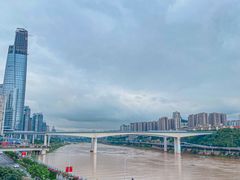 -李子坝梁山鸡(李子坝大鸡哥店)