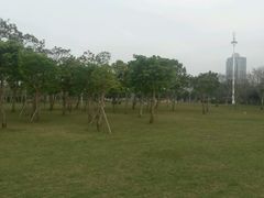 -万绿园