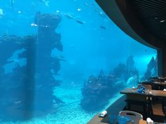 -海棠湾洲际-涛·海底餐厅·美人鱼·自助餐·海底隧道