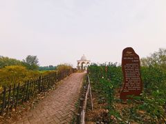 -稻香湖景欢乐岛温泉城堡