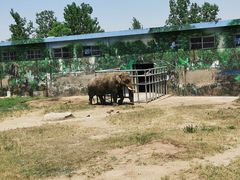-西安秦岭野生动物园