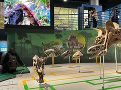 -国家自然博物馆