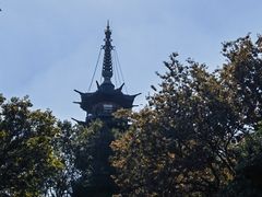 -上海佘山国家森林公园西佘山园