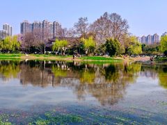 -堤角公园