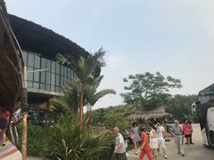 -The Ring Pavilion 魔幻森林