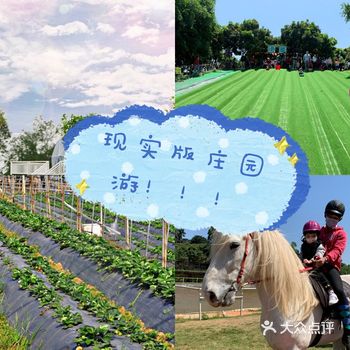 现实版庄园游格林东庄遛娃好去处
