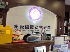 -宠爱国际动物医院·疑难骨科·心肾内科·皮肤科(太阳宫店)
