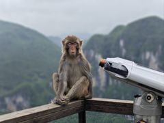 -重庆云阳龙缸景区