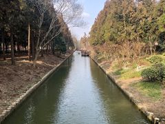 -东平国家森林公园