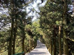 -南岳衡山风景名胜区