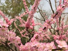 玲珑公园-玲珑塔公园