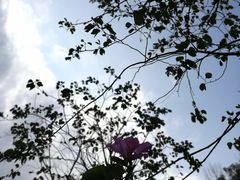 -小南山公园