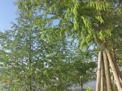 -小八仙·八方(移民广场店)
