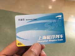 -龙阳路磁悬浮列车总站-停车场