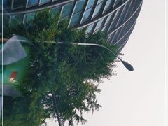-凤凰中心