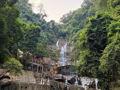 -鼎香皇高佬苏裹蒸粽