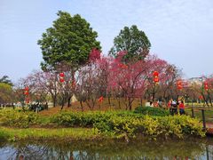 -映月湖公园