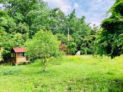 -三圣花乡旅游区