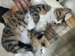 -玉椰林甜品店(创始店)