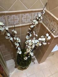 -茜尔维亚修身连锁(杨浦五角场店)