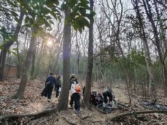 -紫金山山顶公园