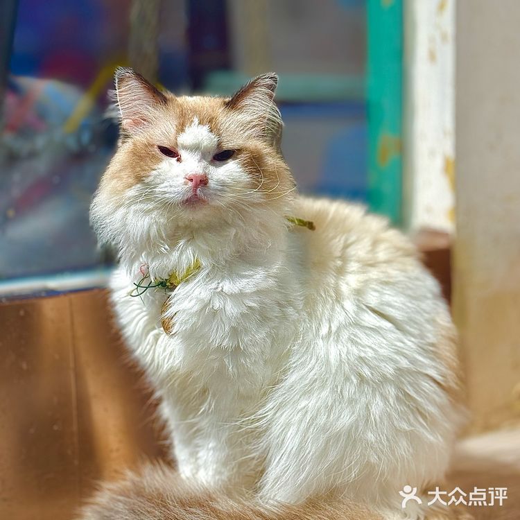 福州这家亲子餐厅，把游乐场搬进餐厅，玩疯了