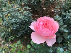 -人民公园(罗湖区)