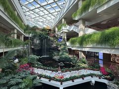 -广州白天鹅宾馆