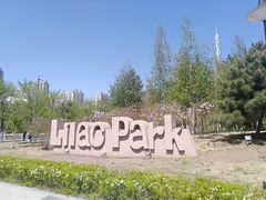 -群力丁香公园