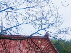 景点-东天目山风景区