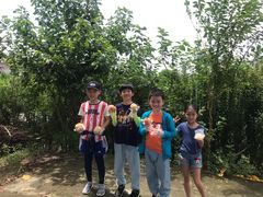 -南汇新场正宗水蜜桃采摘