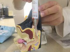 -艾贝尔宠物诊疗