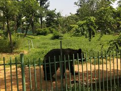 -秦皇岛野生动物园