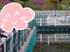 -秦岭终南山世界地质公园翠华山景区