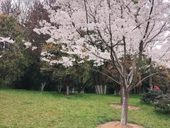 -堤角公园