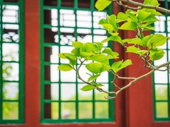 -北坞公园