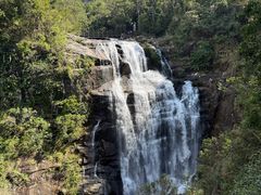 -海南热带雨林国家公园吊罗山景区