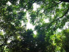 -成都市活水公园