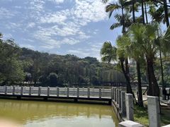 -西樵山风景名胜区-天湖公园