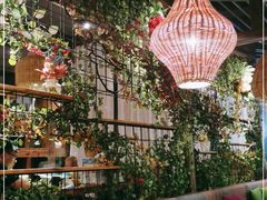 -芭缇沁园椰子鸡(中航紫金新天地店)