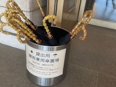 -东京国立博物馆