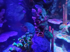 -沈阳海洋探索中心